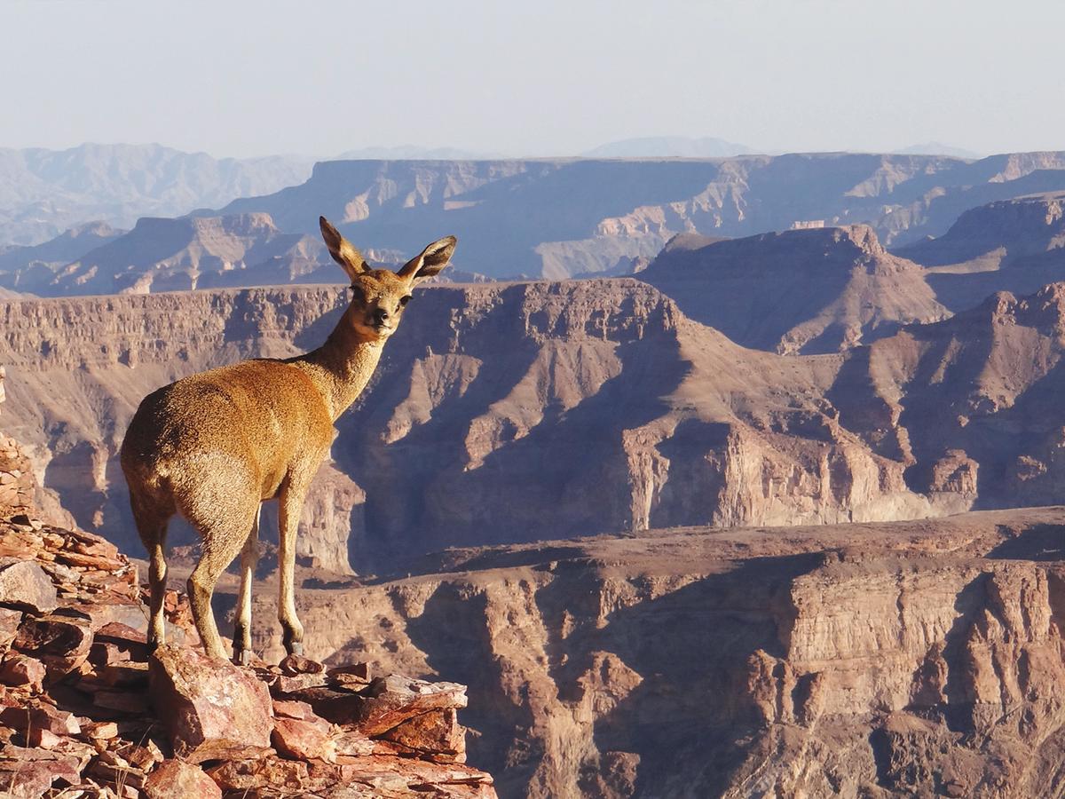 Gondwana Canyon Lodge Kanebis エクステリア 写真